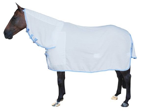 Horse Flag Rug 02