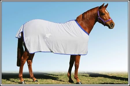 Horse Flag Rug 07