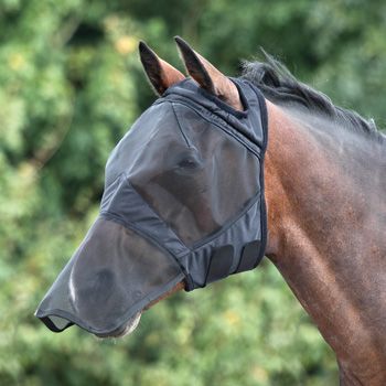 Horse Fly Mask 07