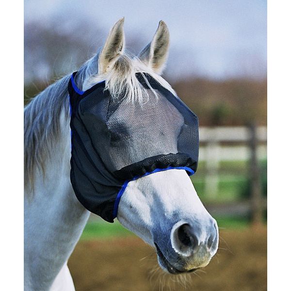 Horse Fly Mask 09