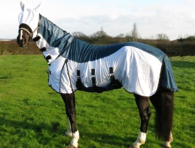 Horse Fly Rug 03