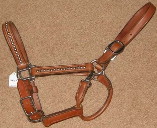 Horse Leather Halter and Head Collar 07