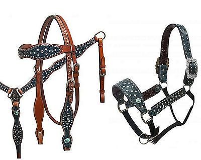Horse Leather Halter and Head Collar 09