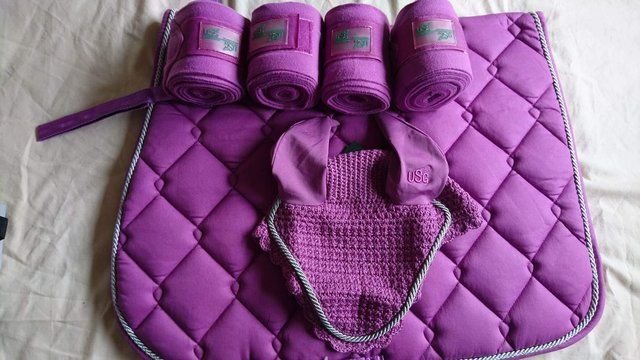 Horse Matching Saddle Pad Set 01