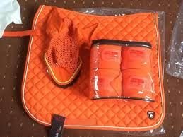 Horse Matching Saddle Pad Set 09