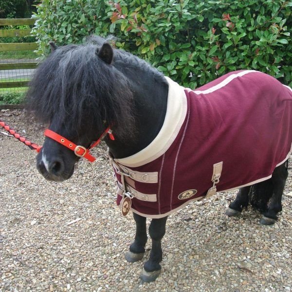 Horse Miniature Rug 07