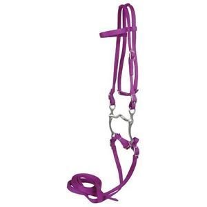 Horse Nylon Bridle 01