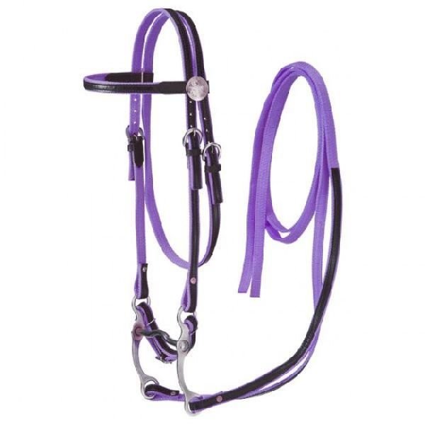 Horse Nylon Bridle 02