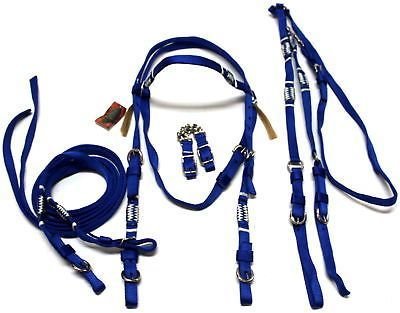 Horse Nylon Bridle 05