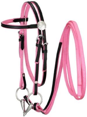 Horse Nylon Bridle 06