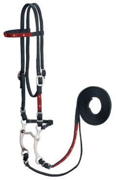 Horse Nylon Bridle 06
