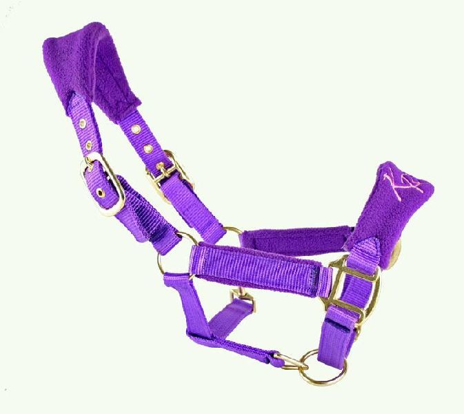 Horse Nylon Halter 06