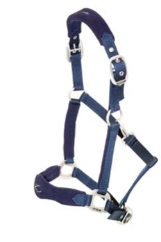 Horse Nylon Halter 07