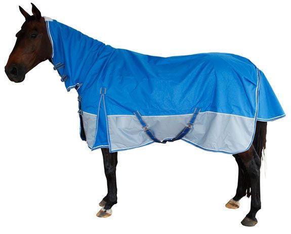 Horse Rain Rug 05