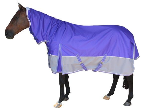 Horse Rain Rug 07