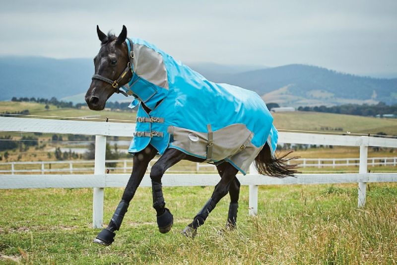 Horse Rain Rug 08