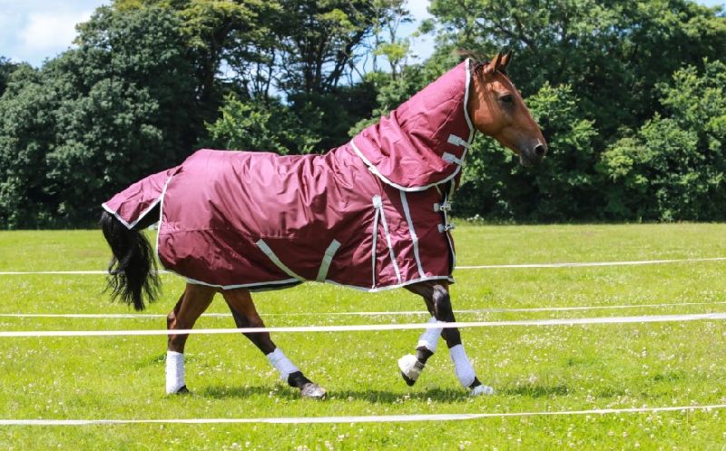Horse Rain Rug 09