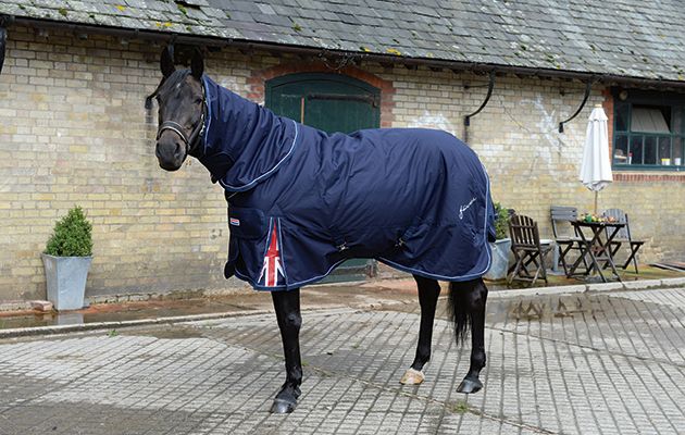 Horse Rain Rug 10