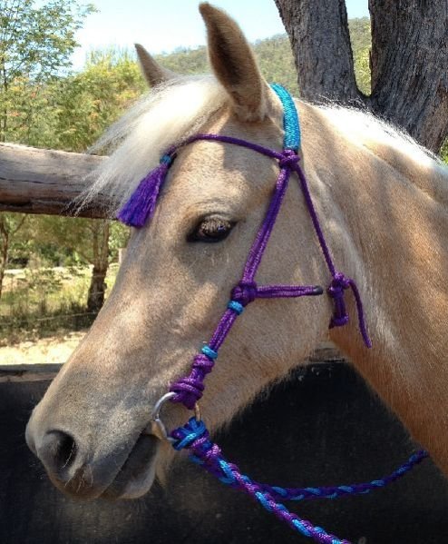 Horse Rope Bridle 07