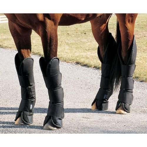 Horse Shipping Boot 04