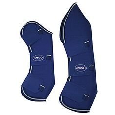 Horse Shipping Boot 07