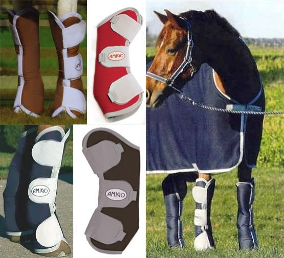 Horse Shipping Boot 09