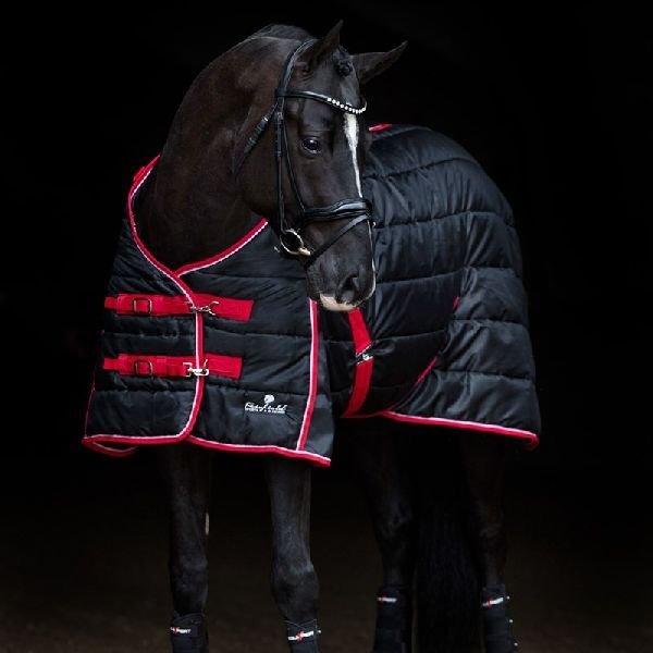 Horse Stable Rug 01