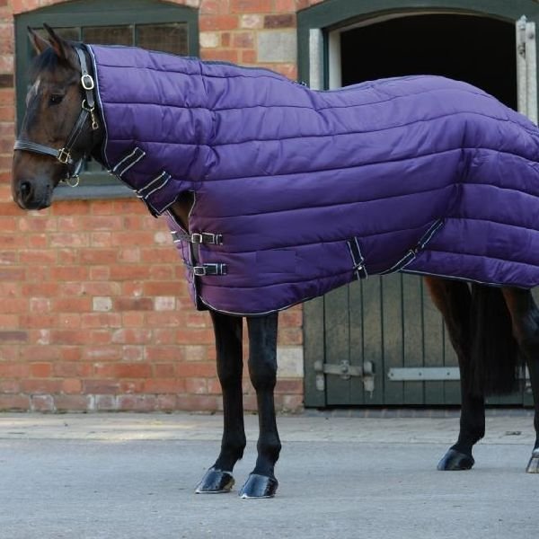 Horse Stable Rug 05