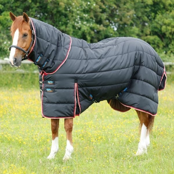 Horse Stable Rug 10