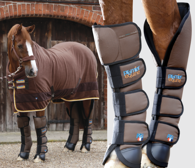 Horse Travel Boot 10