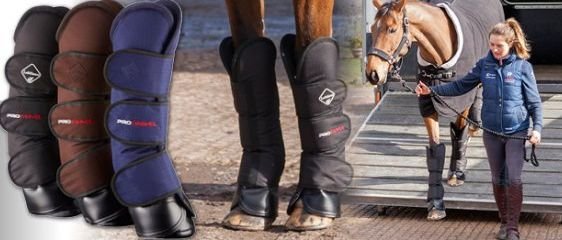 Horse Travel Boot 07