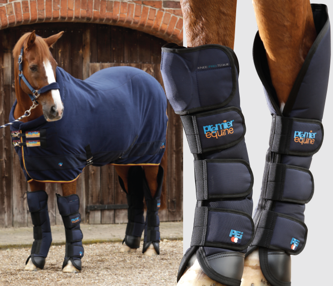 Horse Travel Boot 09