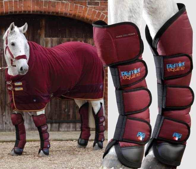 Horse Travel Boot 13