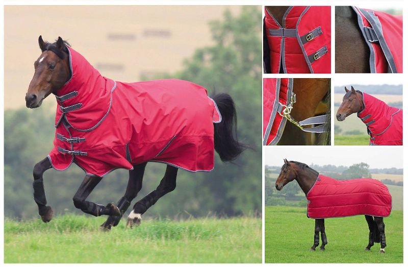 Horse Turnout Rug 01