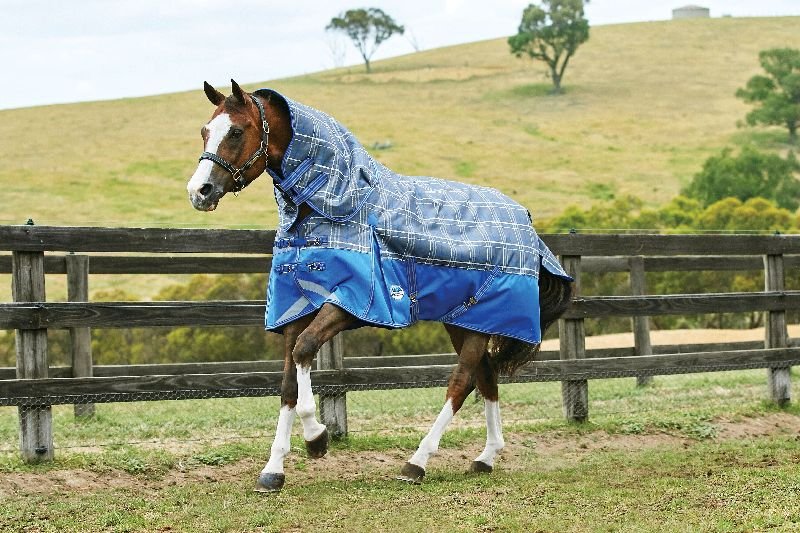 Horse Turnout Rug 02