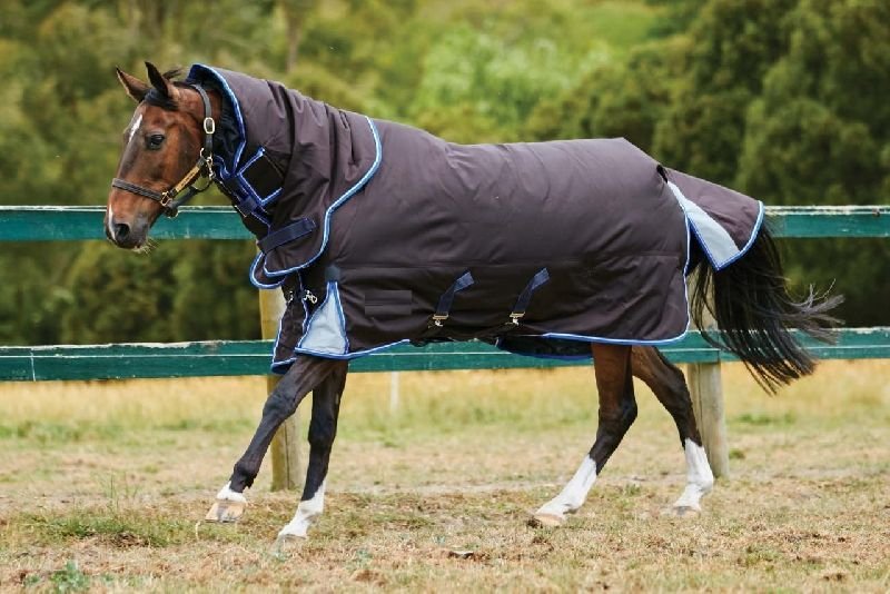 Horse Turnout Rug 04