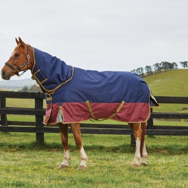 Horse Turnout Rug 05