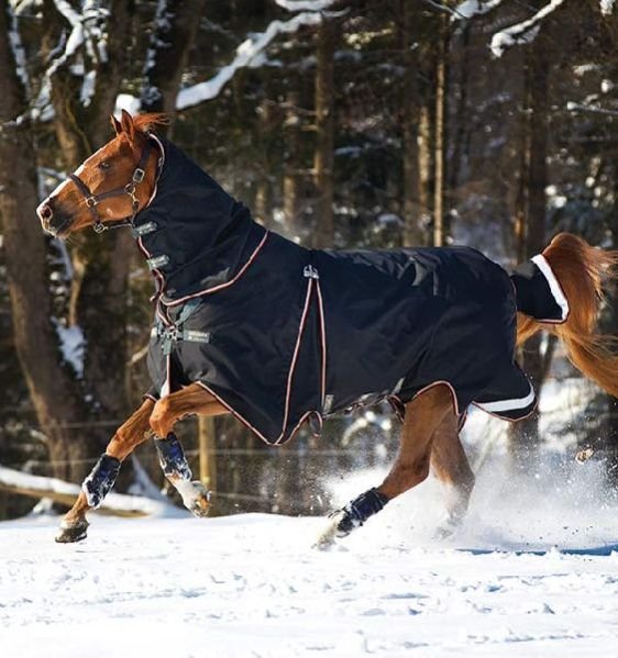 Horse Turnout Rug 07