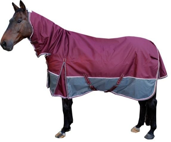 Horse Turnout Rug 08