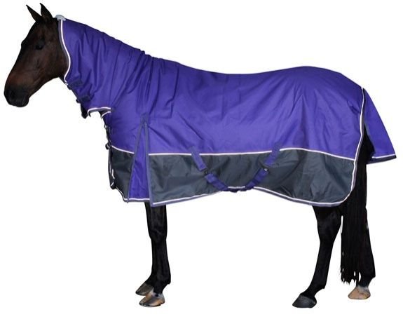 Horse Turnout Rug 09