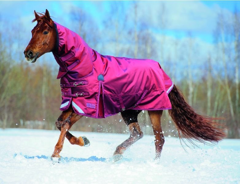 Horse Turnout Rug 10