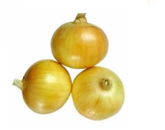 Fresh Onion 04