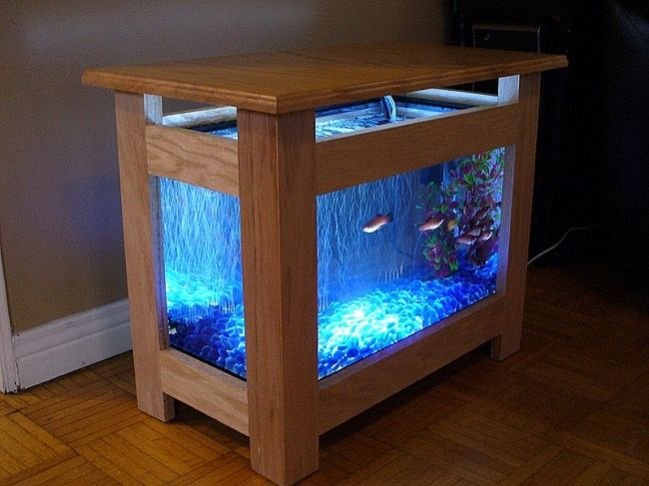Wooden Fish Aquarium 01