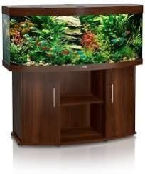 Wooden Fish Aquarium 03