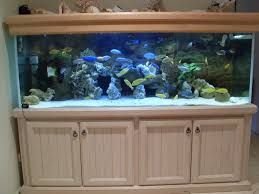 Wooden Fish Aquarium 04