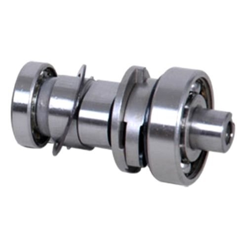 Camshaft with Bearing for Bajaj