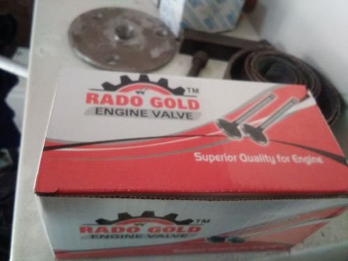 Rado Gold Engine Valve 01