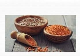 Organic Food Product 02