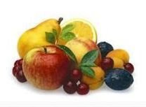 Organic Food Product 04