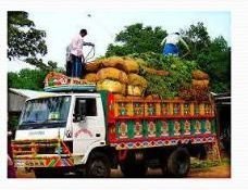 Organic Food Product 06